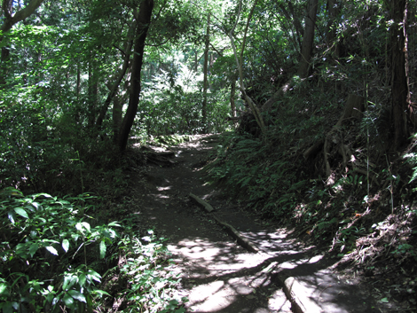 20150715hike (95)